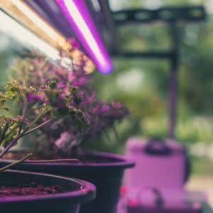 Barre Flora LED SLIM
